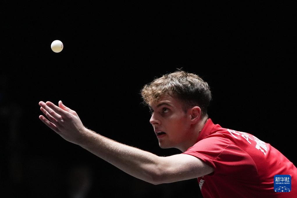 投资和保障 投资和保障